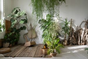 Indoor Garden